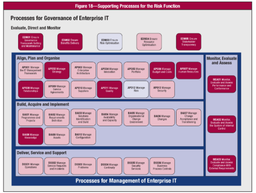 Domain Cobit