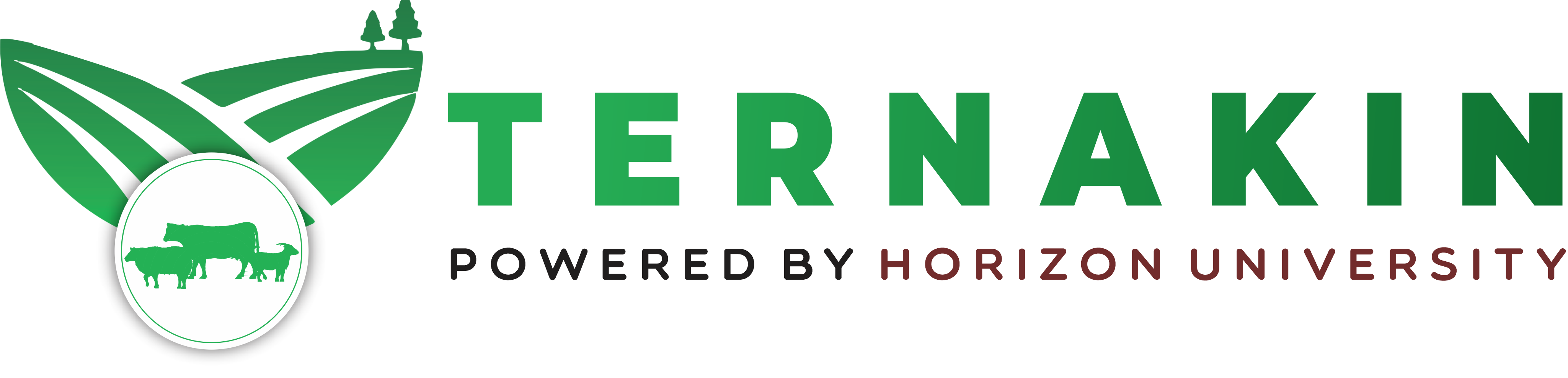 TERNAKIN logo